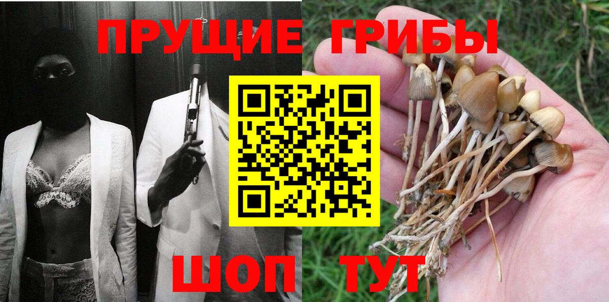 Галлюциногенные грибы MAGIC MUSHROOMS Сыктывкар